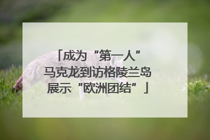 成为“第一人” 马克龙到访格陵兰岛展示“欧洲团结”