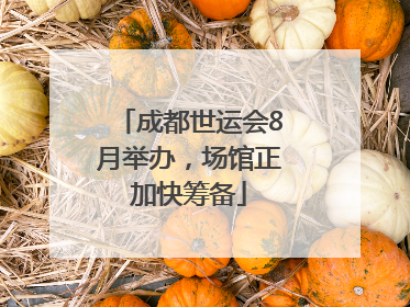 成都世运会8月举办，场馆正加快筹备