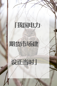 我国电力期货市场建设正当时