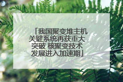 我国聚变堆主机关键系统再获重大突破 核聚变技术发展进入加速期