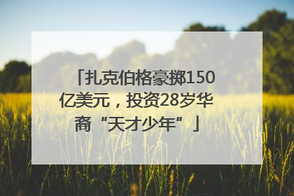 扎克伯格豪掷150亿美元，投资28岁华裔“天才少年”
