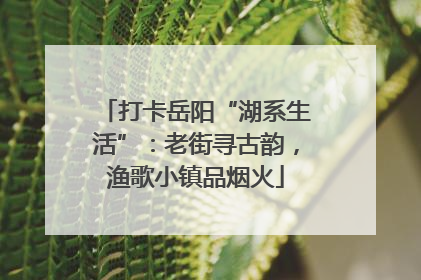 打卡岳阳“湖系生活”：老街寻古韵，渔歌小镇品烟火