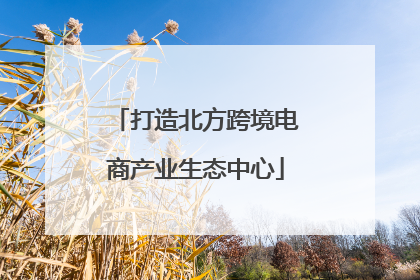 打造北方跨境电商产业生态中心