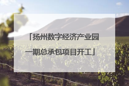 扬州数字经济产业园一期总承包项目开工