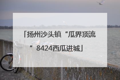 扬州沙头镇“瓜界顶流”8424西瓜进城