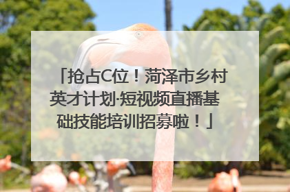 抢占C位！菏泽市乡村英才计划·短视频直播基础技能培训招募啦！