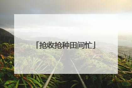 抢收抢种田间忙