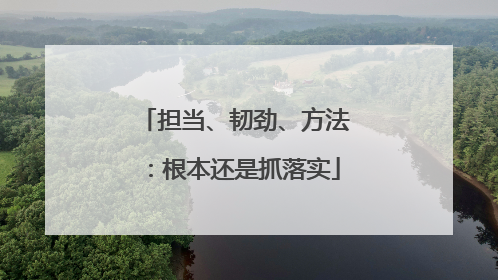 担当、韧劲、方法：根本还是抓落实