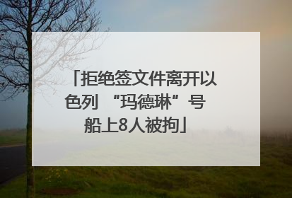 拒绝签文件离开以色列 “玛德琳”号船上8人被拘