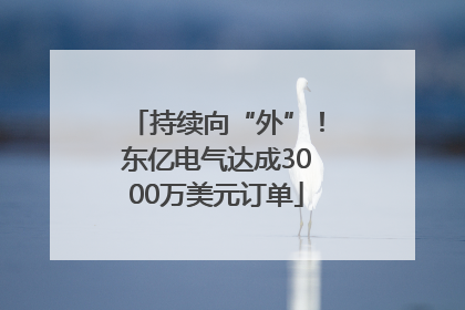 持续向“外”！东亿电气达成3000万美元订单