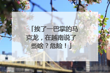 挨了一巴掌的马克龙，在越南说了些啥？危险！