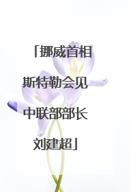 挪威首相斯特勒会见中联部部长刘建超