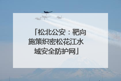 松北公安：靶向施策织密松花江水域安全防护网