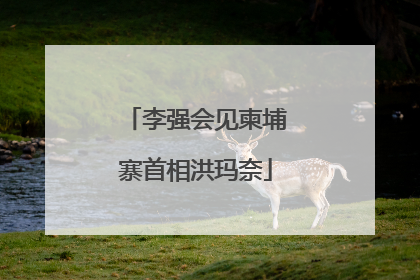 李强会见柬埔寨首相洪玛奈
