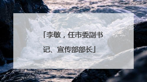 李敏，任市委副书记、宣传部部长