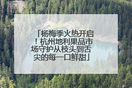 杨梅季火热开启！杭州地利果品市场守护从枝头到舌尖的每一口鲜甜