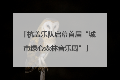 杭盖乐队启幕首届“城市绿心森林音乐周”