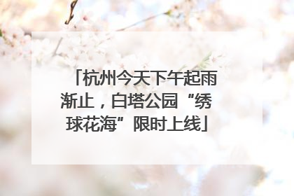 杭州今天下午起雨渐止，白塔公园“绣球花海”限时上线