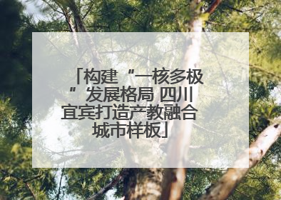 构建“一核多极”发展格局 四川宜宾打造产教融合城市样板