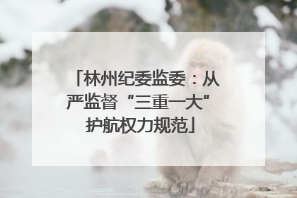 林州纪委监委：从严监督“三重一大” 护航权力规范