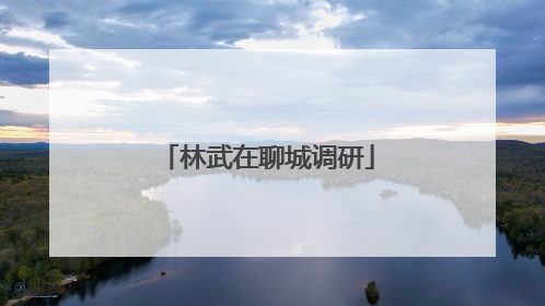 林武在聊城调研