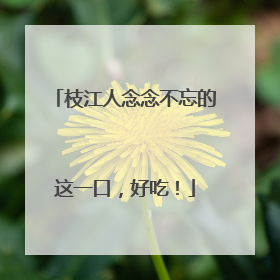 枝江人念念不忘的这一口，好吃！