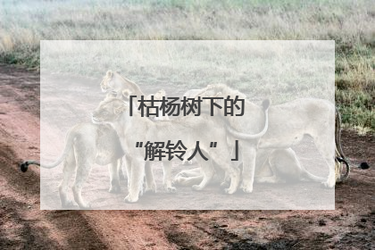 枯杨树下的“解铃人”
