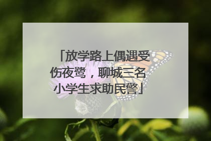 放学路上偶遇受伤夜鹭，聊城三名小学生求助民警