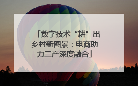 数字技术“耕”出乡村新图景：电商助力三产深度融合