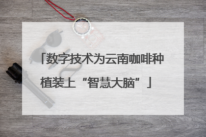 数字技术为云南咖啡种植装上“智慧大脑”