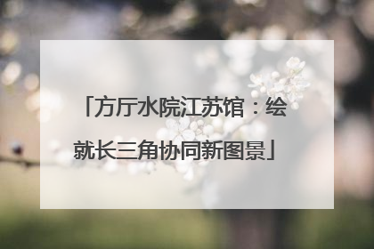 方厅水院江苏馆：绘就长三角协同新图景