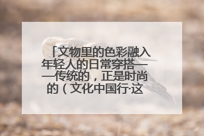 文物里的色彩融入年轻人的日常穿搭——传统的，正是时尚的（文化中国行·这些美 很中国）