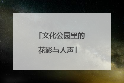 文化公园里的花影与人声