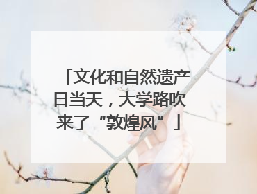 文化和自然遗产日当天，大学路吹来了“敦煌风”