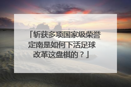 斩获多项国家级荣誉 定南是如何下活足球改革这盘棋的？