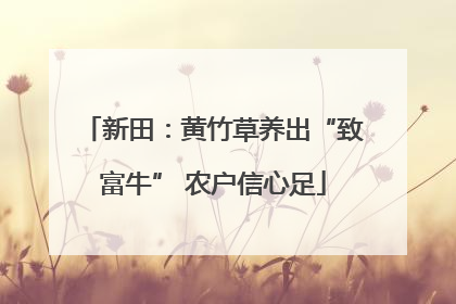 新田：黄竹草养出“致富牛” 农户信心足