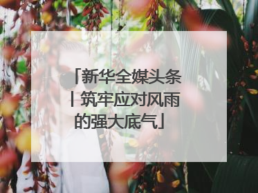 新华全媒头条丨筑牢应对风雨的强大底气