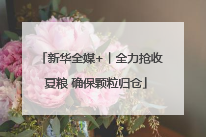 新华全媒+丨全力抢收夏粮 确保颗粒归仓
