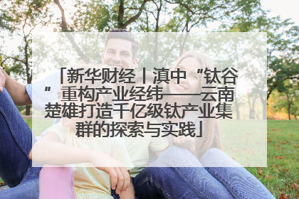 新华财经丨滇中“钛谷”重构产业经纬——云南楚雄打造千亿级钛产业集群的探索与实践