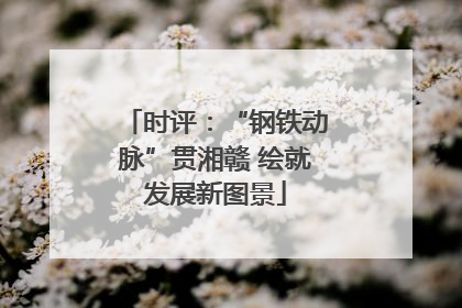 时评：“钢铁动脉”贯湘赣 绘就发展新图景