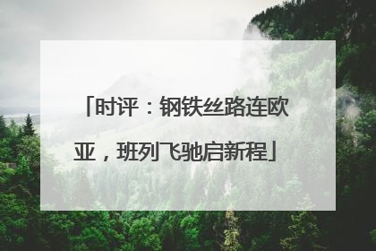时评：钢铁丝路连欧亚，班列飞驰启新程