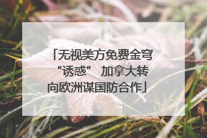 无视美方免费金穹“诱惑” 加拿大转向欧洲谋国防合作