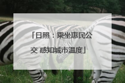 日照：乘坐惠民公交 感知城市温度