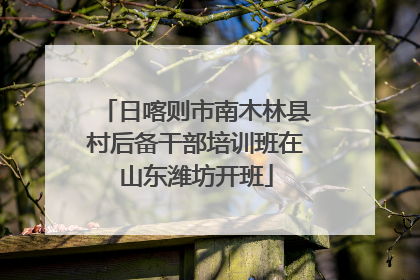 日喀则市南木林县村后备干部培训班在山东潍坊开班