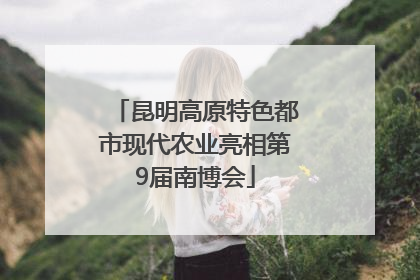 昆明高原特色都市现代农业亮相第9届南博会