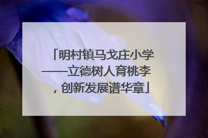 明村镇马戈庄小学——立德树人育桃李，创新发展谱华章