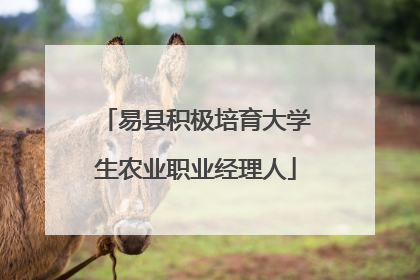 易县积极培育大学生农业职业经理人