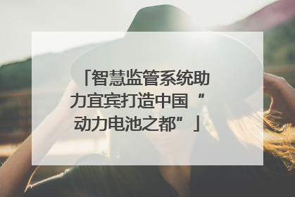 智慧监管系统助力宜宾打造中国“动力电池之都”
