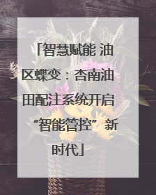 智慧赋能 油区蝶变：杏南油田配注系统开启“智能管控”新时代