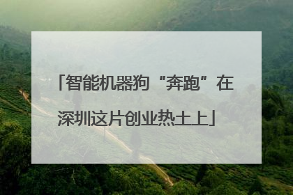 智能机器狗“奔跑”在深圳这片创业热土上